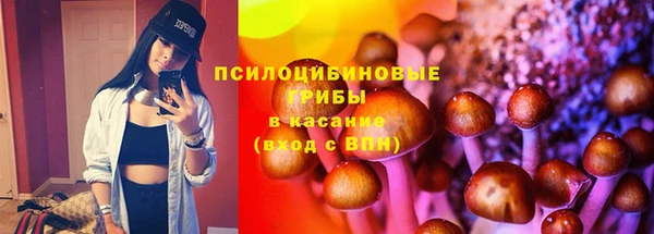спиды Алексин