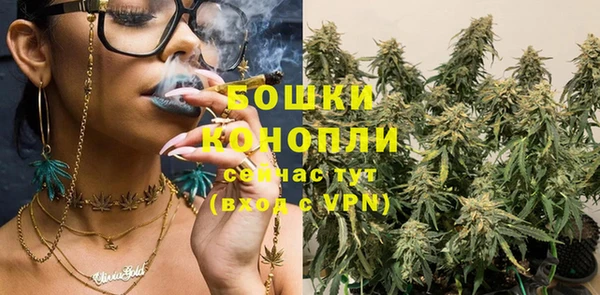 каннабис Каменногорск