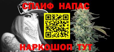 индика Ипатово