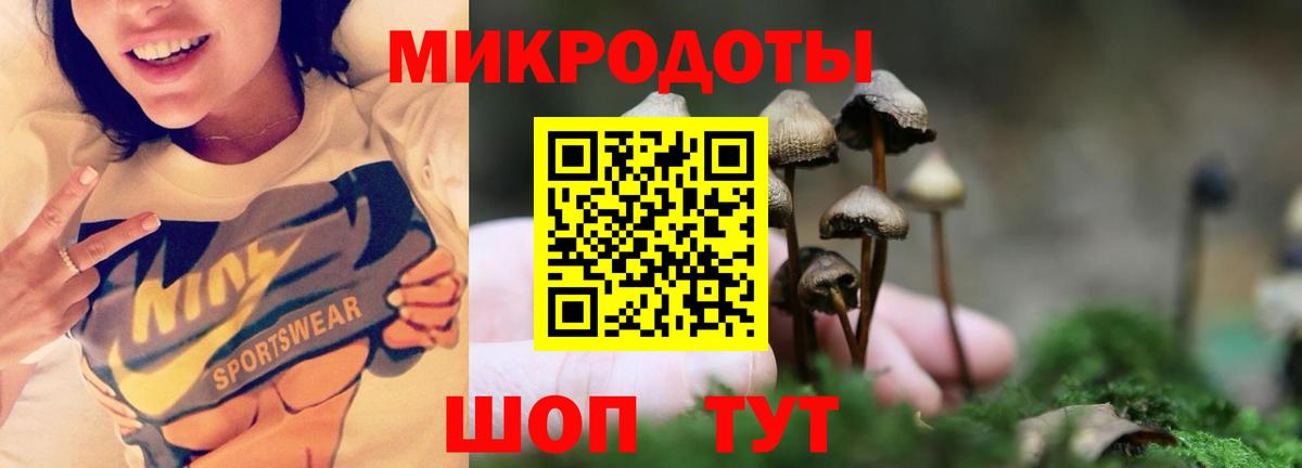 Галлюциногенные грибы Psilocybine cubensis Светлоград